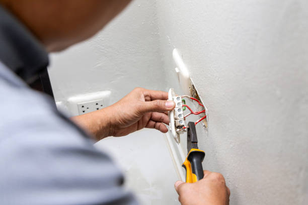 Best Electric Panel Repair  in Cobden, IL